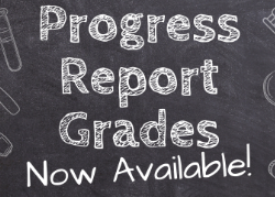 CTE tool graphic with chalkboard background that states grades now available