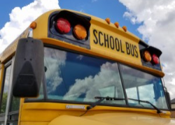 photo of a school bus