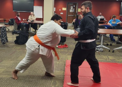 Martial arts training