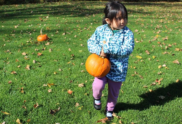 Student carrying a pumpkin