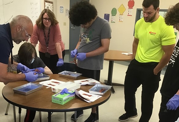 Students dissecting crayfish