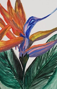 Painting of bird of paradise flower